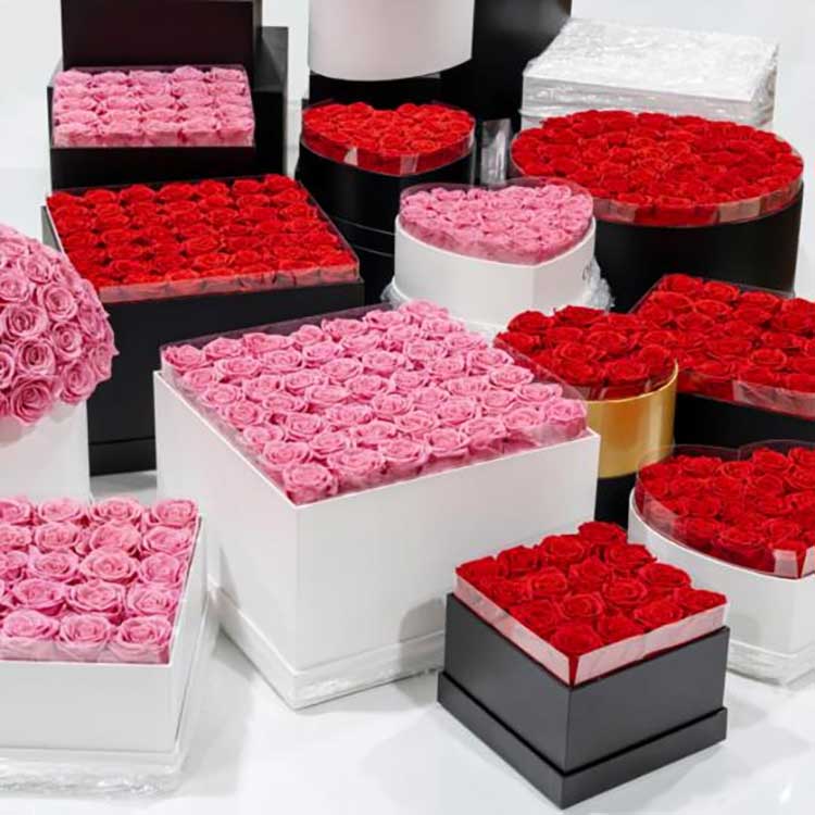 Korunmuş Çiçek Kucaklama Kovası