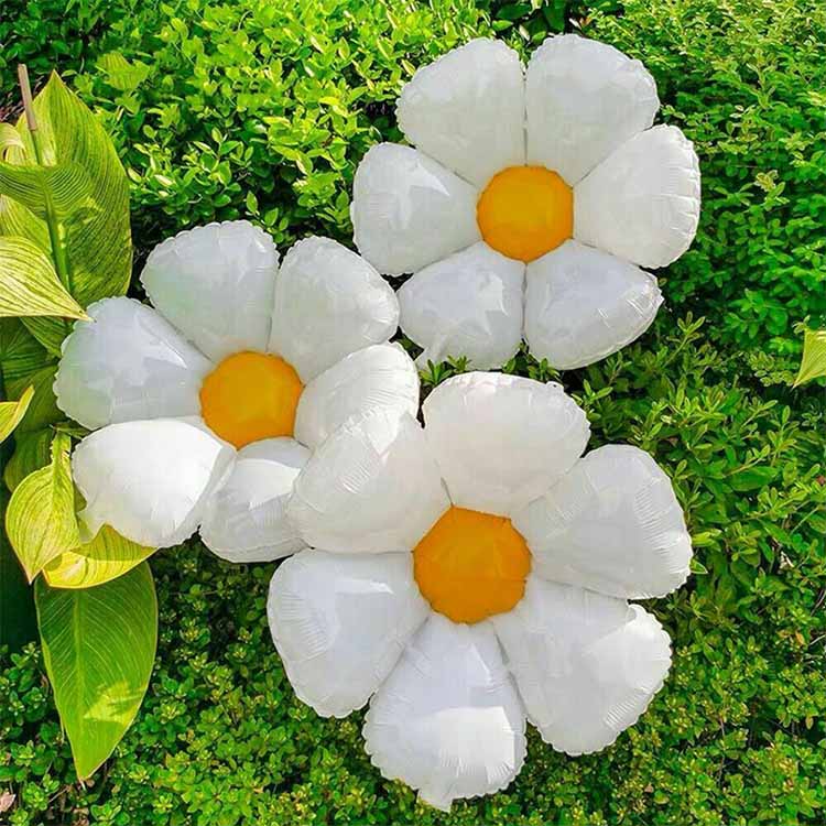 Altı Petal Daisy Folyo Balon
